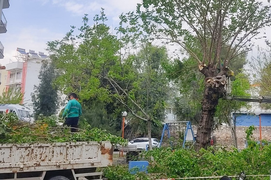 EFELER BELEDİYESİ ÇALIŞIYOR KENT DAHA TEMİZ VE DÜZENLİ HALE GELİYOR