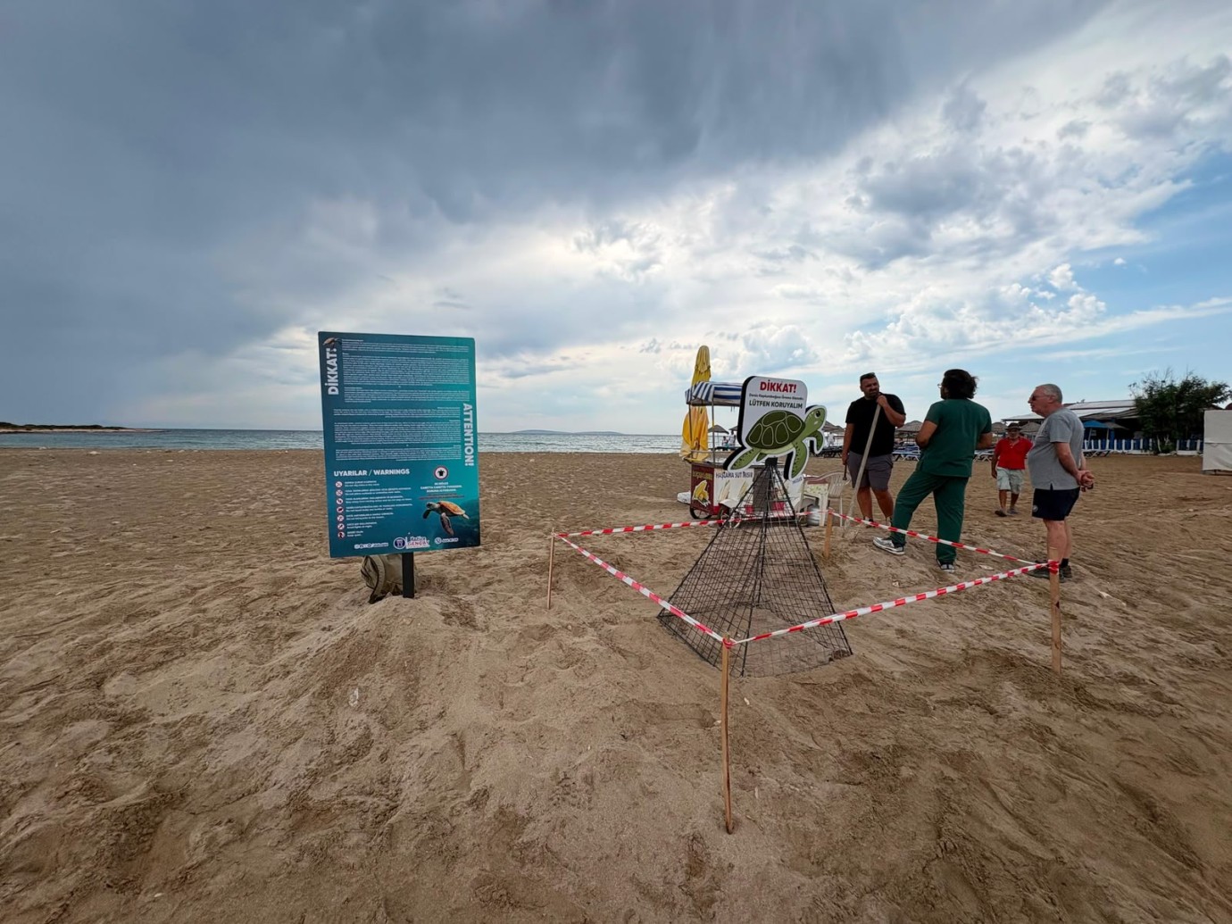 Didim Belediyesi Ekiplerinin Zamanında Müdahalesi Caretta Carettayı Kurtardı