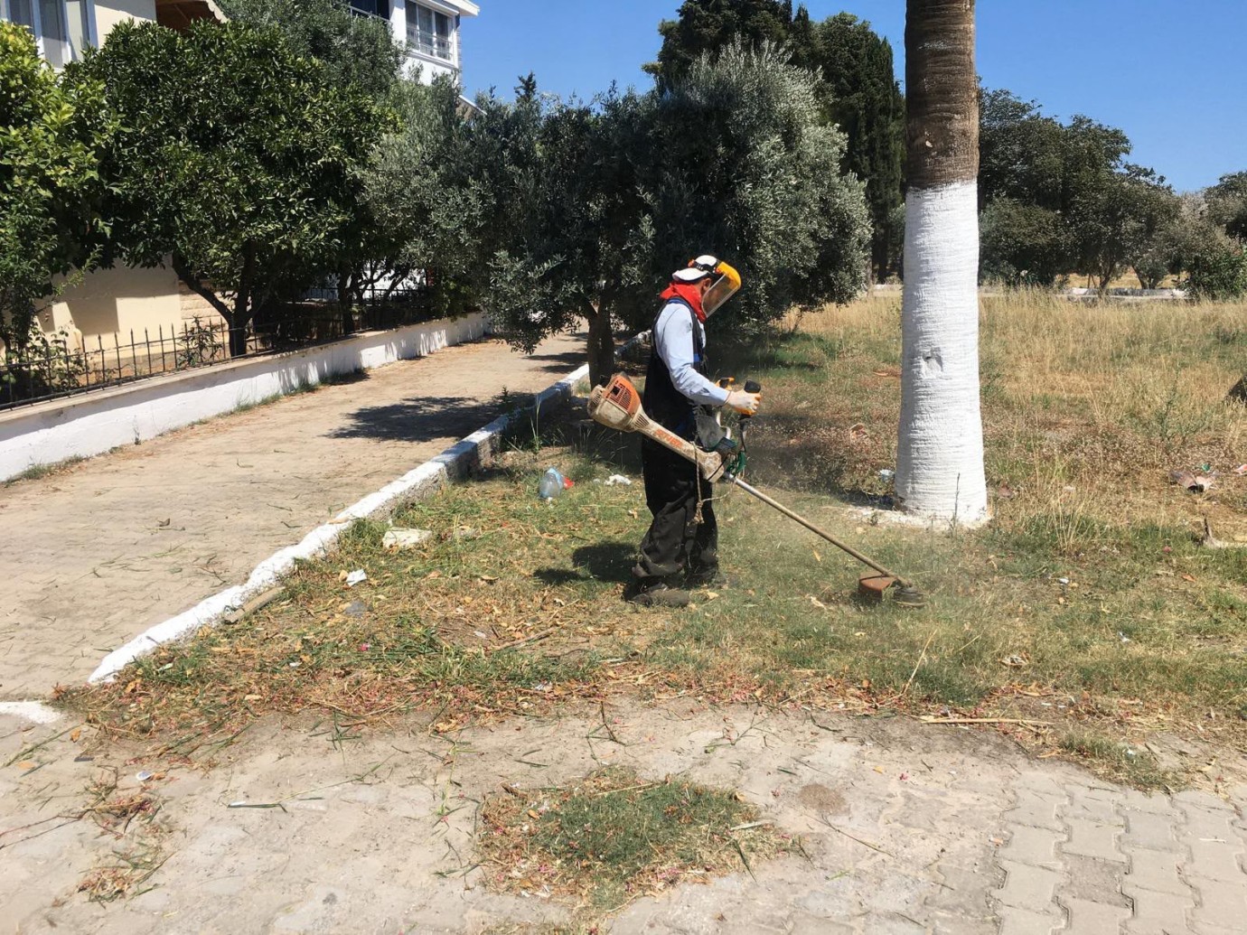 DİDİM BELEDİYESİ'NDEN KENTE ÖZENLİ DOKUNUŞ: KENDİ ÜRETİMİ ÇİÇEKLER TOPRAKLA BULUŞUYOR
