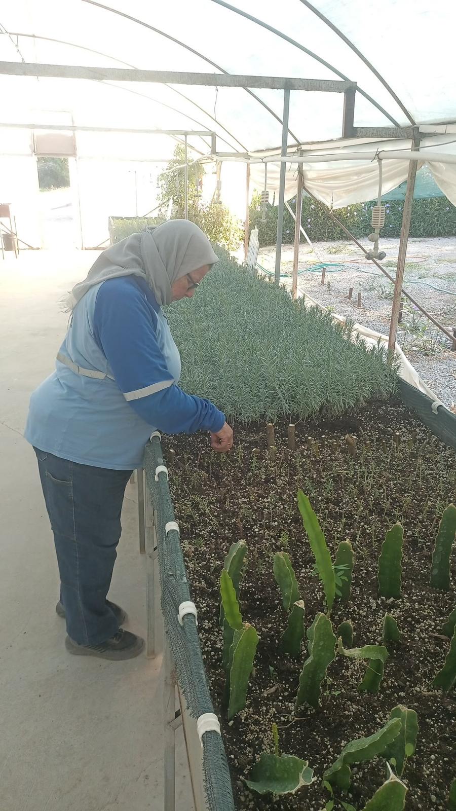 DİDİM BELEDİYESİ’NDEN YEŞİL HAMLE