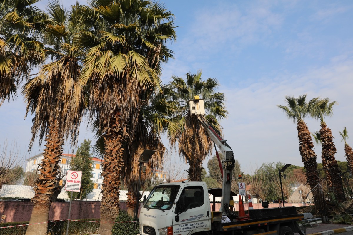 EFELER’İN YEŞİL EKİPLERİ İHTİYAÇ DUYULAN HER YERDE