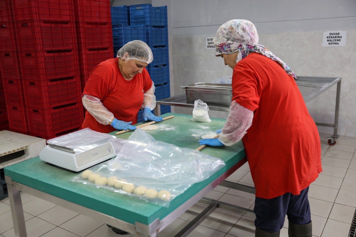 TARIMSAL ÜRÜN FABRİKASI İLE KADINLARLAR ÜRETİYOR EFELER KAZANIYOR